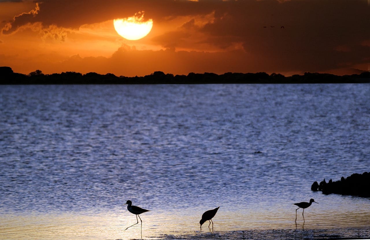 Hongkong z drona – Najlepsze punkty do startu i widoki