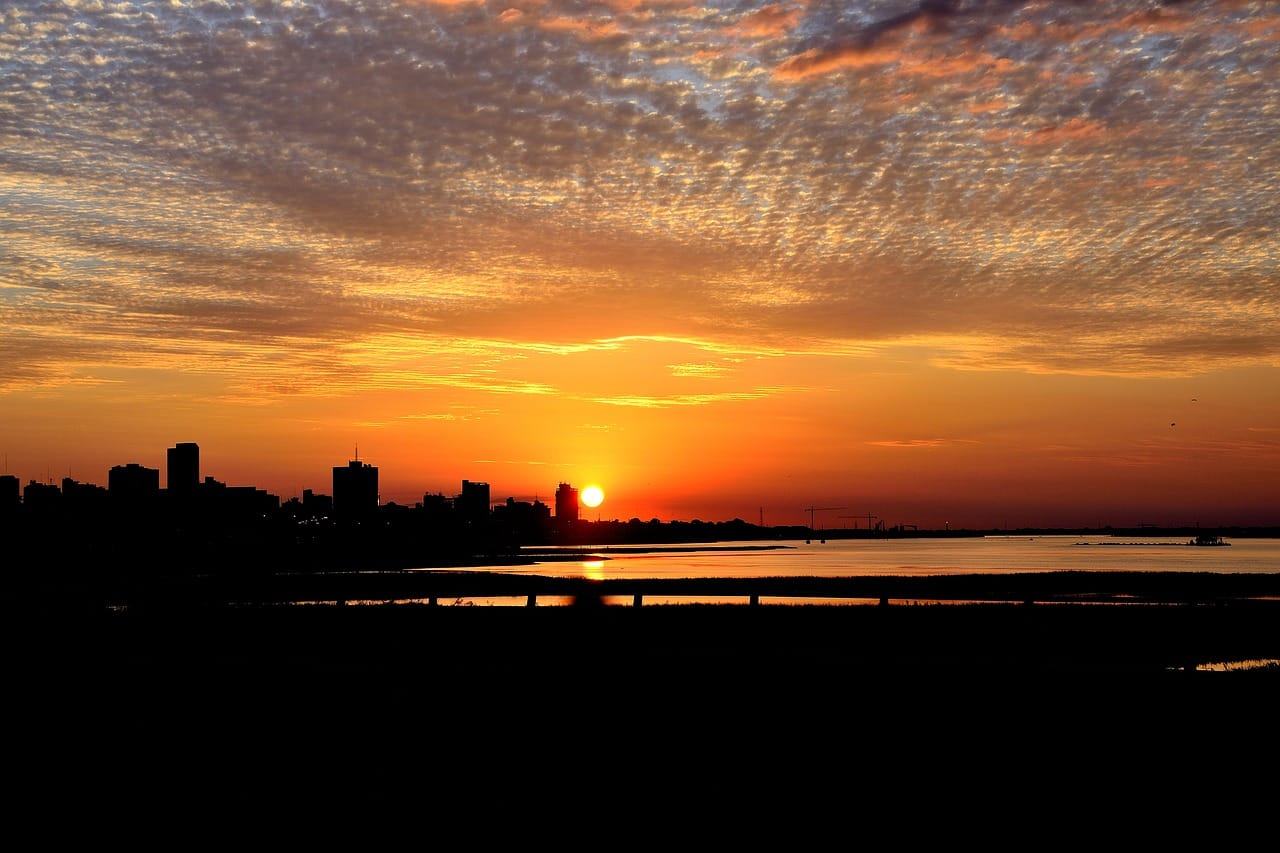 Wyprawy do australijskich lasów eukaliptusowych