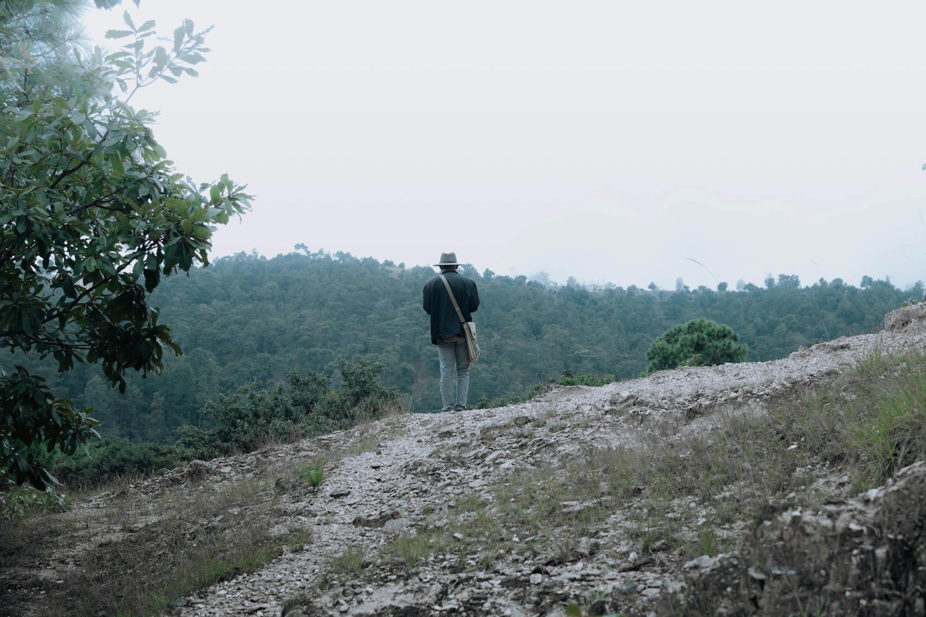 Podróżnik w kapeluszu podziwia zielone wzgórza i las Gwatemali