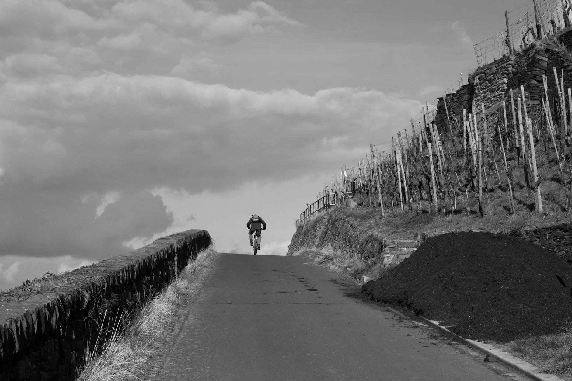 Rowerzysta na pagórkowatej drodze wśród winnic Stellenbosch