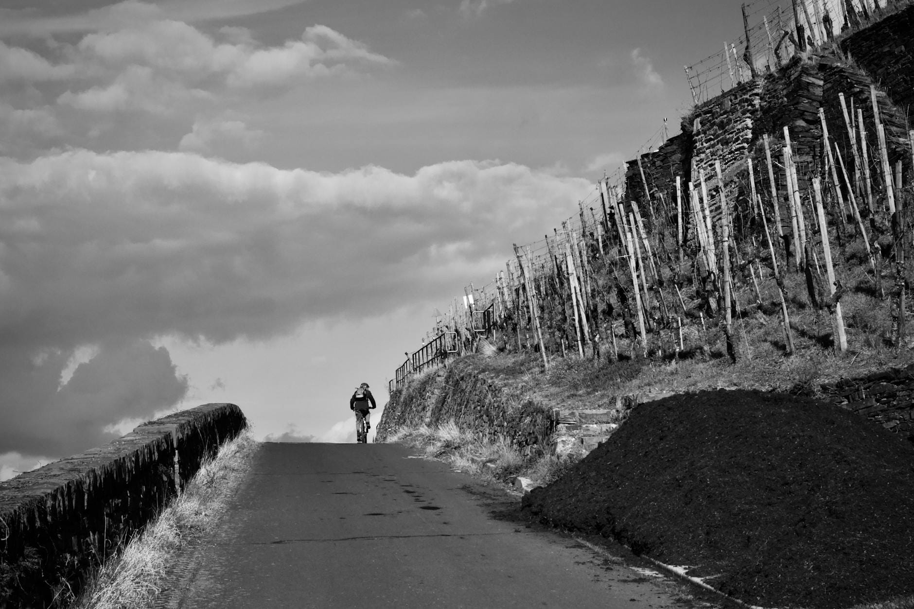 Rowerzysta na wiejskiej drodze obok winnicy u podnóża gór Stellenbosch