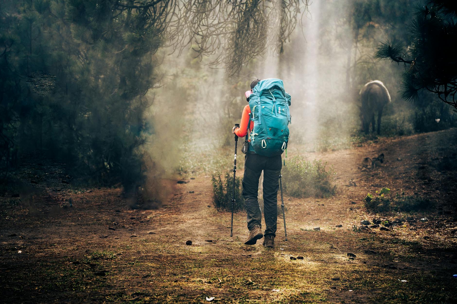 Turysta z plecakiem w mglistym lesie w górach Tacaná w Gwatemali